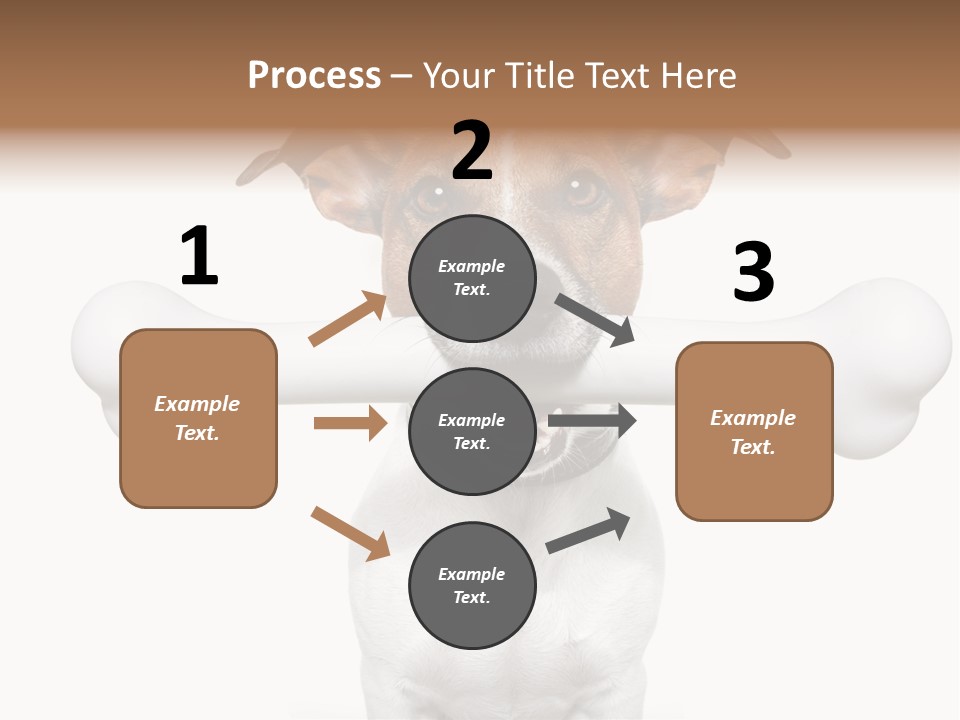 A Dog Holding A Large Bone In Its Mouth PowerPoint Template
