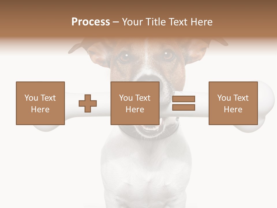 A Dog Holding A Large Bone In Its Mouth PowerPoint Template