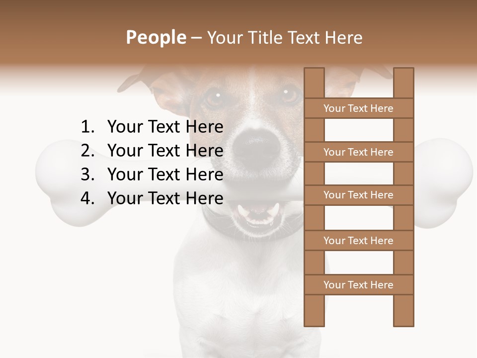 A Dog Holding A Large Bone In Its Mouth PowerPoint Template