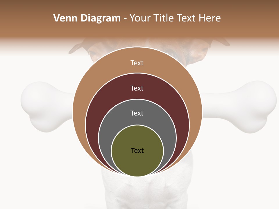 A Dog Holding A Large Bone In Its Mouth PowerPoint Template
