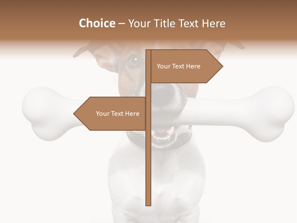 A Dog Holding A Large Bone In Its Mouth PowerPoint Template