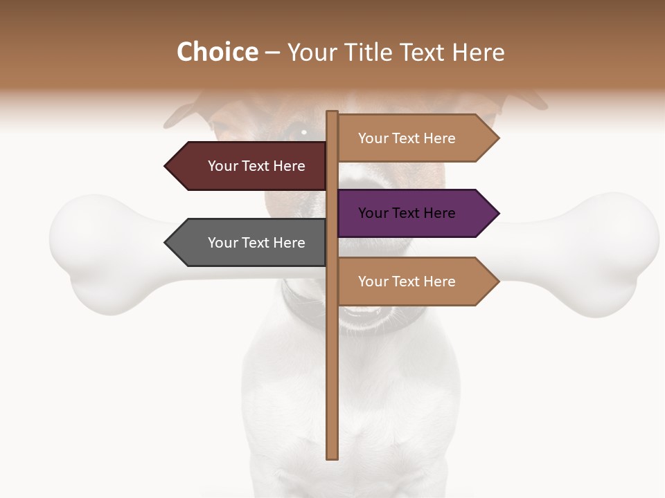 A Dog Holding A Large Bone In Its Mouth PowerPoint Template