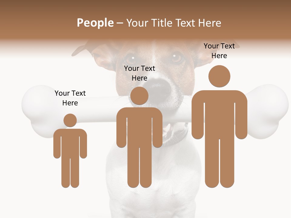 A Dog Holding A Large Bone In Its Mouth PowerPoint Template