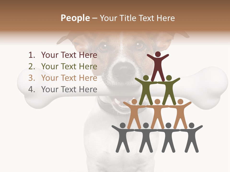 A Dog Holding A Large Bone In Its Mouth PowerPoint Template