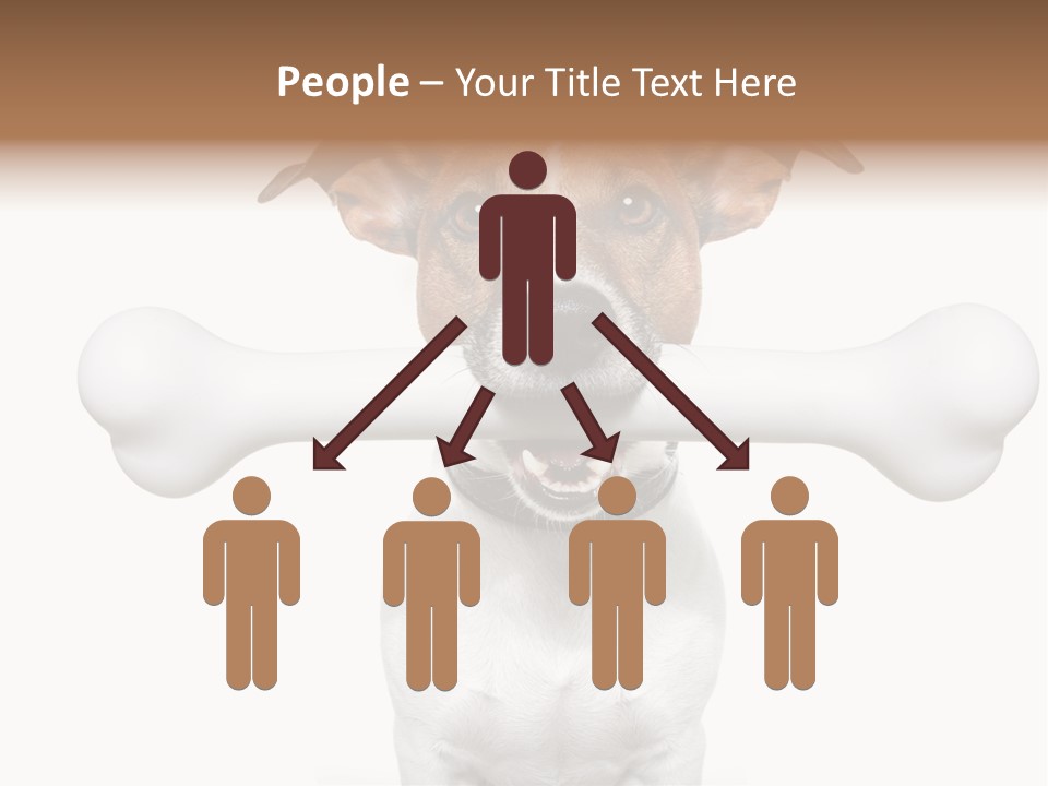 A Dog Holding A Large Bone In Its Mouth PowerPoint Template