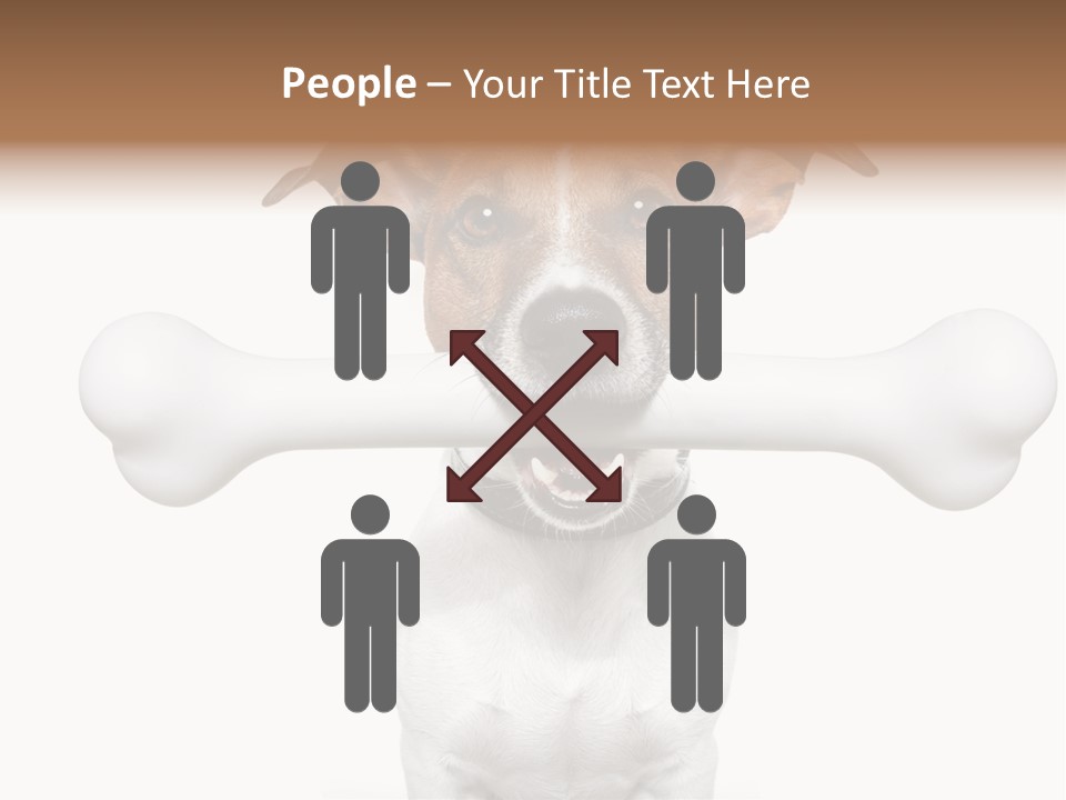 A Dog Holding A Large Bone In Its Mouth PowerPoint Template