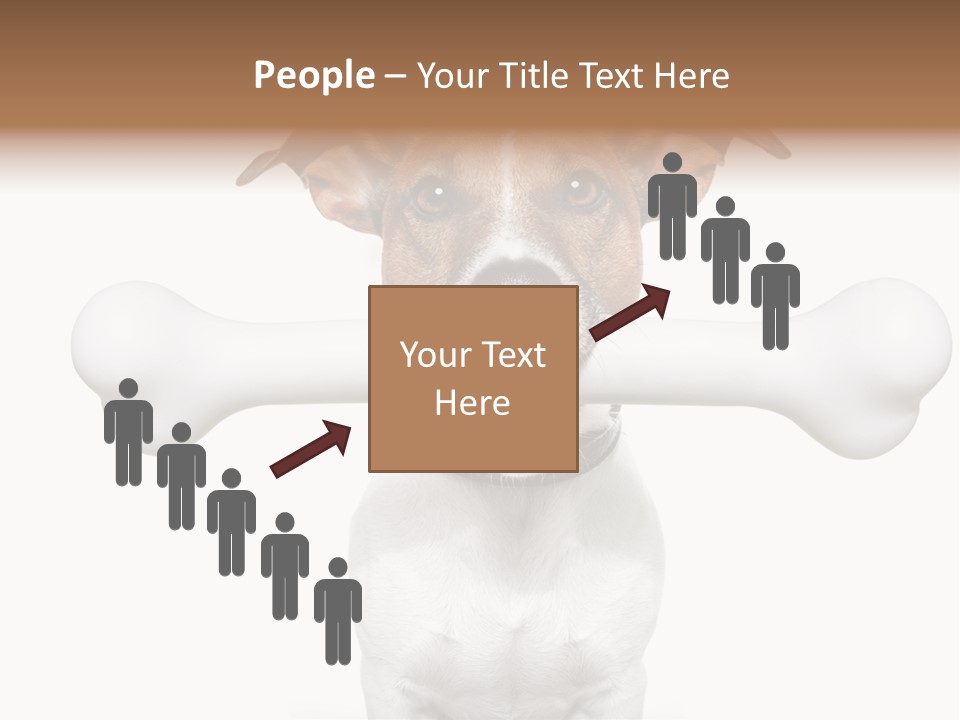 A Dog Holding A Large Bone In Its Mouth PowerPoint Template