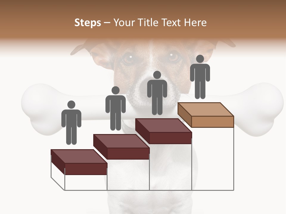 A Dog Holding A Large Bone In Its Mouth PowerPoint Template