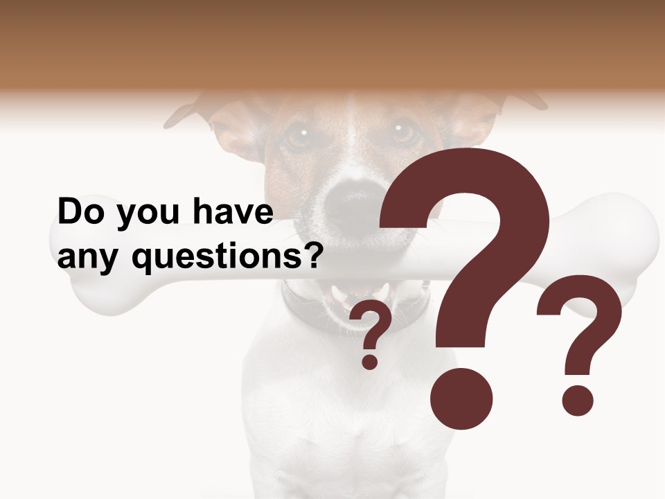 A Dog Holding A Large Bone In Its Mouth PowerPoint Template