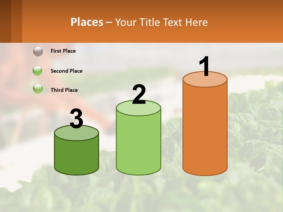 A Man Working In A Greenhouse With Green Plants PowerPoint Template