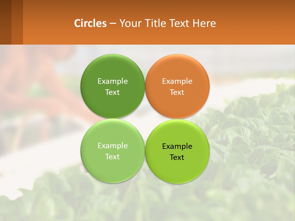 A Man Working In A Greenhouse With Green Plants PowerPoint Template