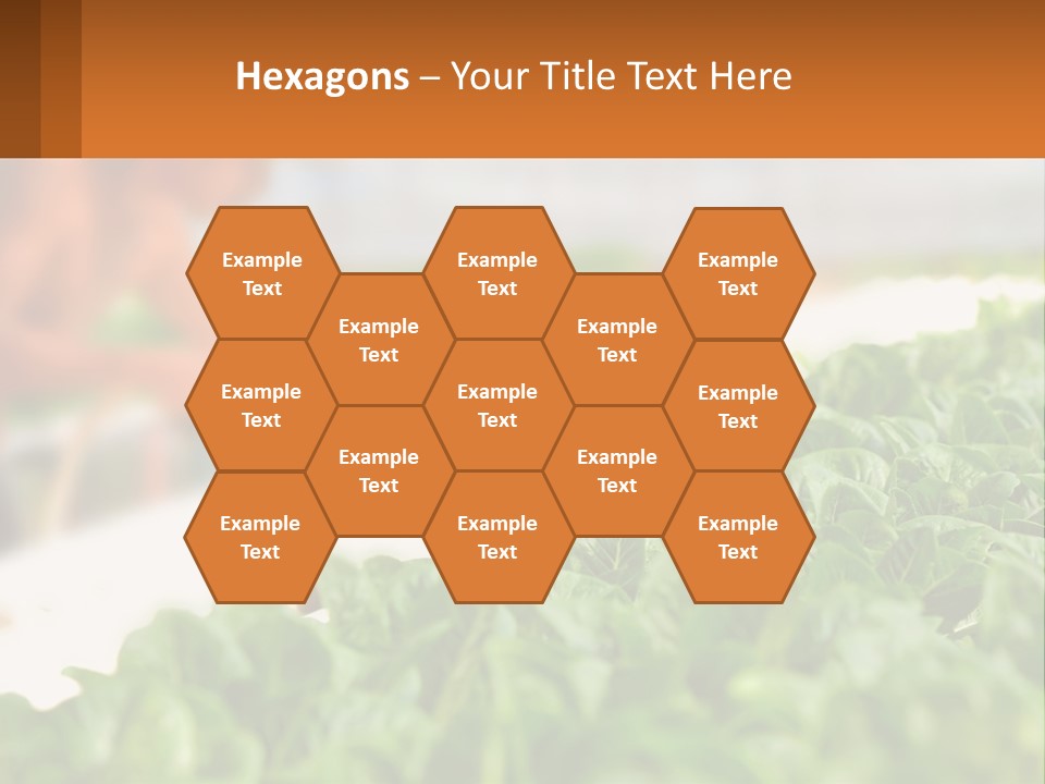 A Man Working In A Greenhouse With Green Plants PowerPoint Template