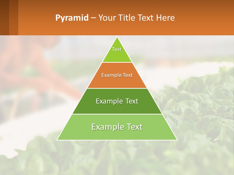 A Man Working In A Greenhouse With Green Plants PowerPoint Template
