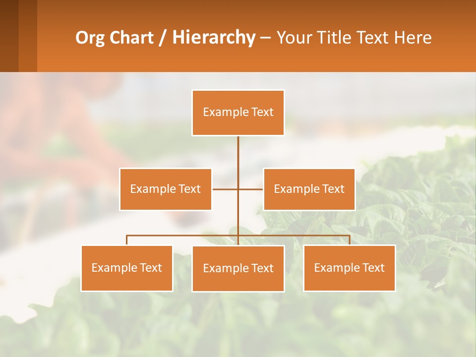 A Man Working In A Greenhouse With Green Plants PowerPoint Template