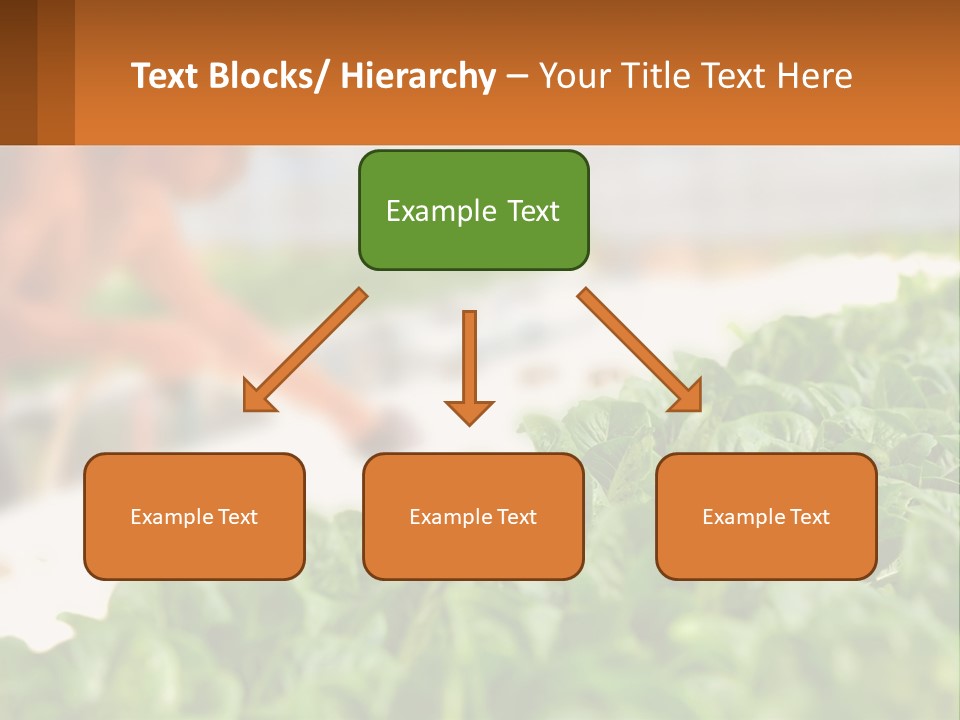 A Man Working In A Greenhouse With Green Plants PowerPoint Template
