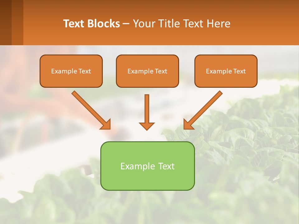 A Man Working In A Greenhouse With Green Plants PowerPoint Template