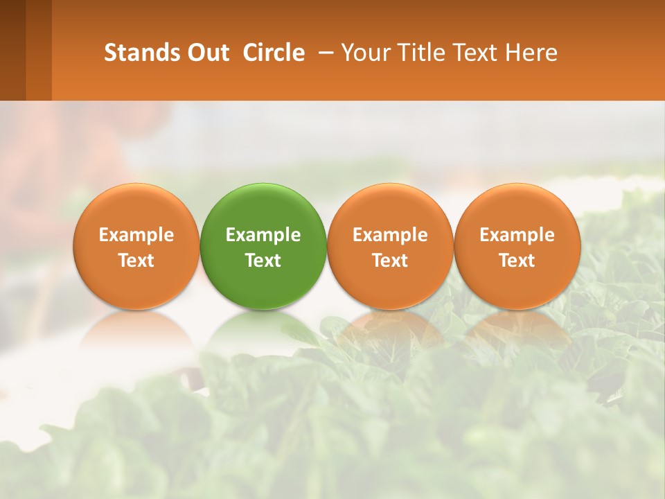 A Man Working In A Greenhouse With Green Plants PowerPoint Template