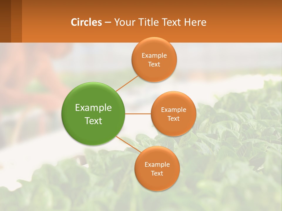A Man Working In A Greenhouse With Green Plants PowerPoint Template