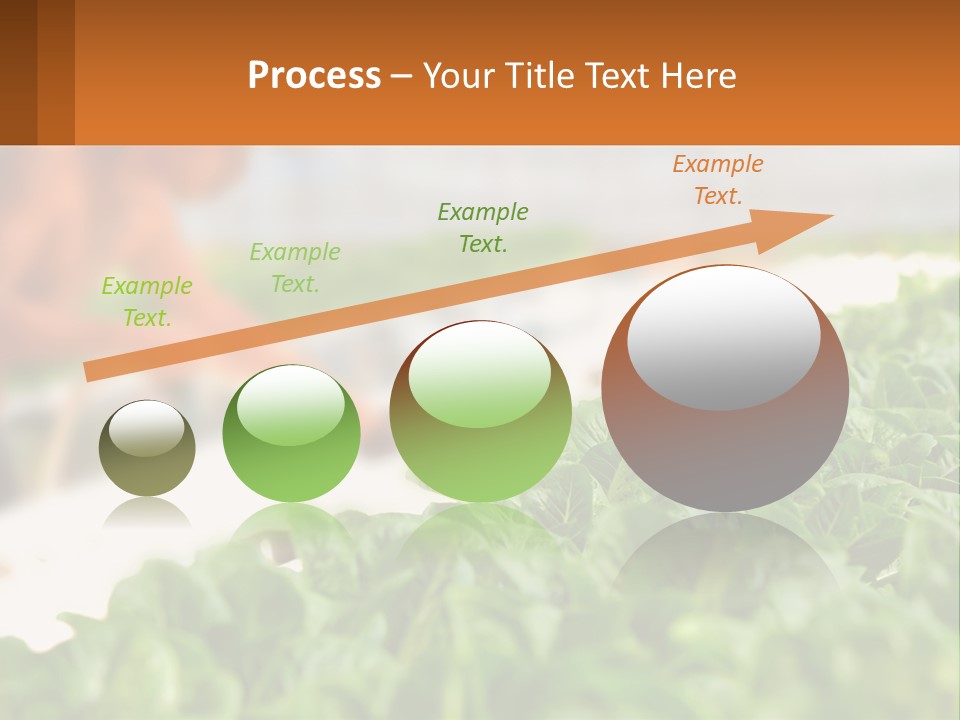A Man Working In A Greenhouse With Green Plants PowerPoint Template
