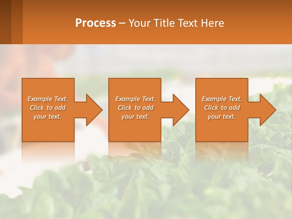 A Man Working In A Greenhouse With Green Plants PowerPoint Template