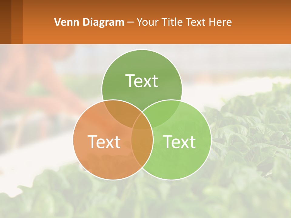 A Man Working In A Greenhouse With Green Plants PowerPoint Template
