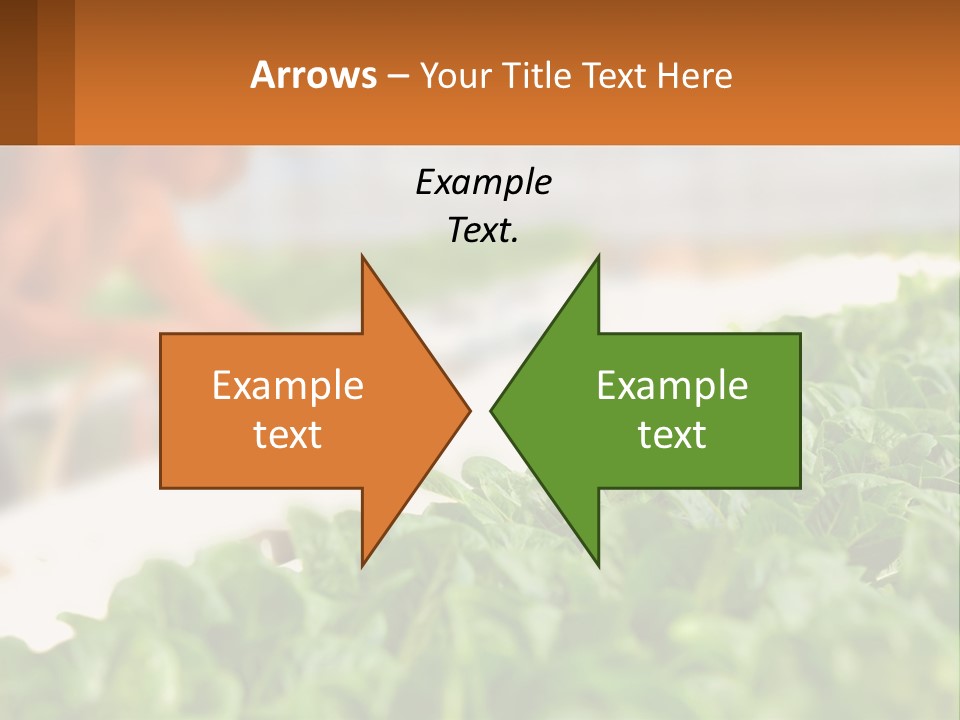 A Man Working In A Greenhouse With Green Plants PowerPoint Template