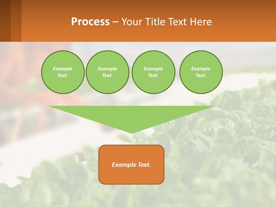 A Man Working In A Greenhouse With Green Plants PowerPoint Template