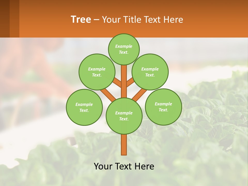 A Man Working In A Greenhouse With Green Plants PowerPoint Template