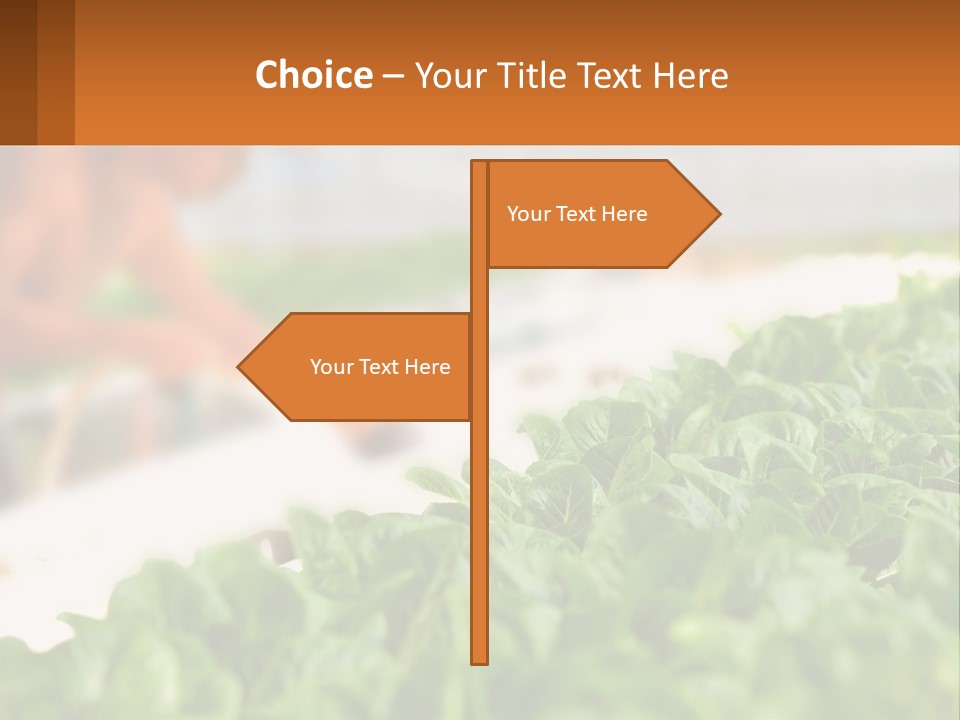 A Man Working In A Greenhouse With Green Plants PowerPoint Template