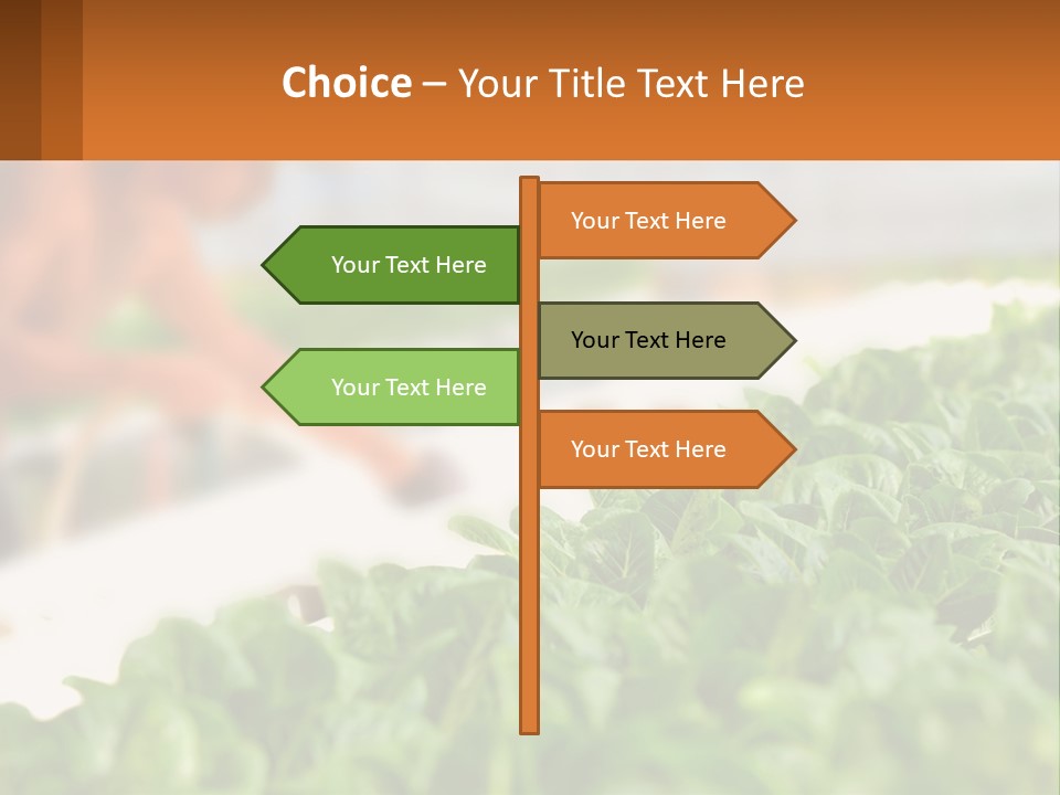 A Man Working In A Greenhouse With Green Plants PowerPoint Template
