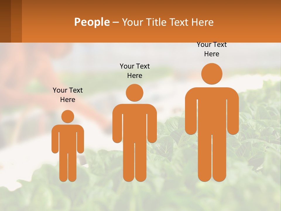 A Man Working In A Greenhouse With Green Plants PowerPoint Template