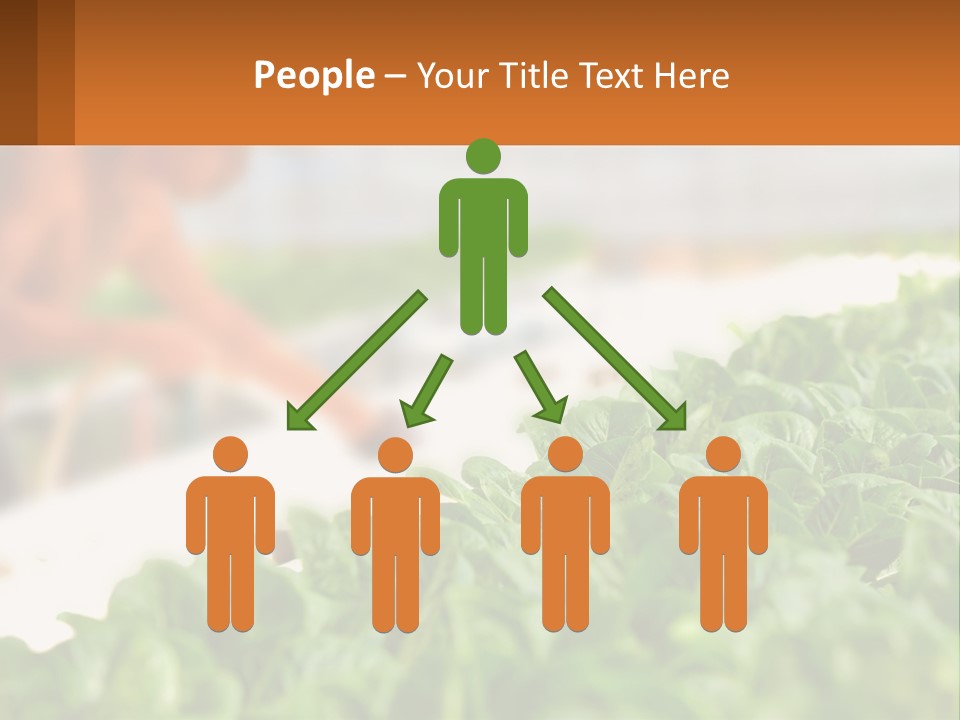 A Man Working In A Greenhouse With Green Plants PowerPoint Template