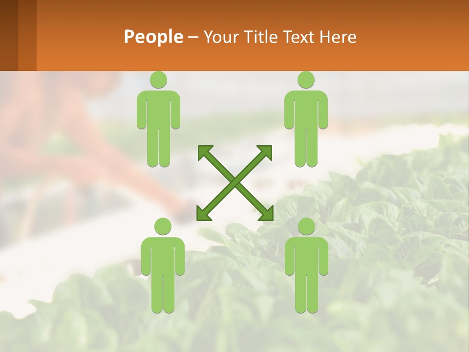 A Man Working In A Greenhouse With Green Plants PowerPoint Template