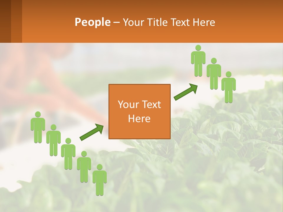 A Man Working In A Greenhouse With Green Plants PowerPoint Template