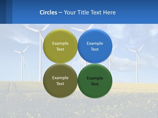 A Bunch Of Windmills In A Field Of Yellow Flowers PowerPoint Template