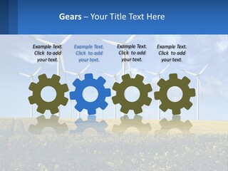 A Bunch Of Windmills In A Field Of Yellow Flowers PowerPoint Template