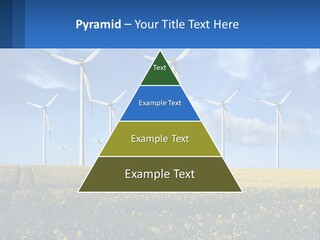 A Bunch Of Windmills In A Field Of Yellow Flowers PowerPoint Template