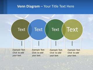 A Bunch Of Windmills In A Field Of Yellow Flowers PowerPoint Template