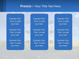 A Bunch Of Windmills In A Field Of Yellow Flowers PowerPoint Template