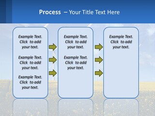 A Bunch Of Windmills In A Field Of Yellow Flowers PowerPoint Template