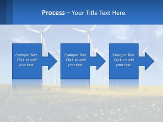 A Bunch Of Windmills In A Field Of Yellow Flowers PowerPoint Template