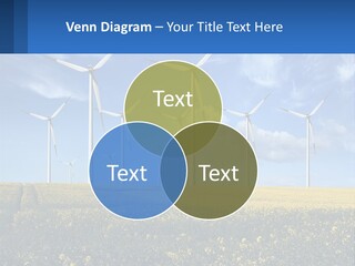 A Bunch Of Windmills In A Field Of Yellow Flowers PowerPoint Template