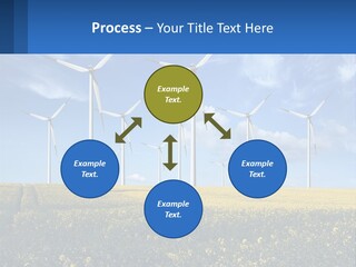A Bunch Of Windmills In A Field Of Yellow Flowers PowerPoint Template