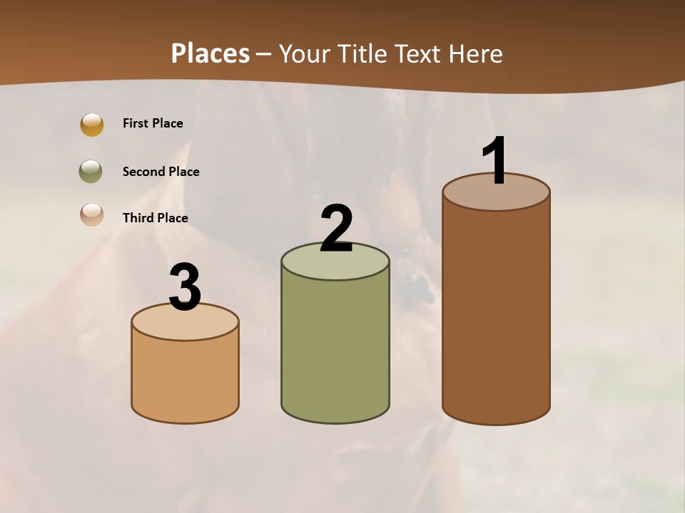 A Brown Dog Sitting On Top Of A Grass Covered Field PowerPoint Template