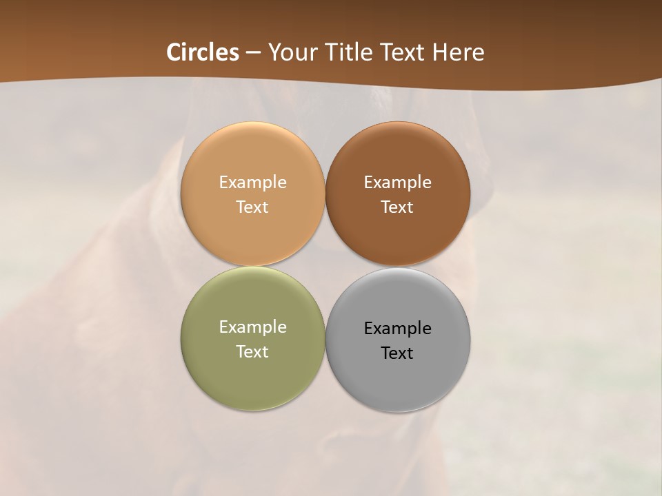 A Brown Dog Sitting On Top Of A Grass Covered Field PowerPoint Template