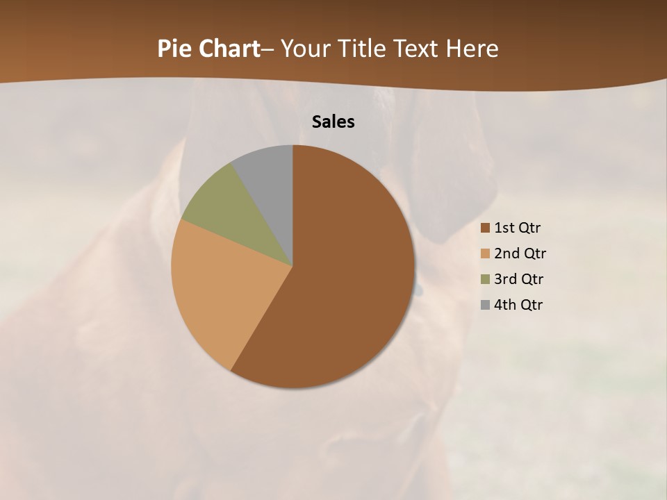 A Brown Dog Sitting On Top Of A Grass Covered Field PowerPoint Template