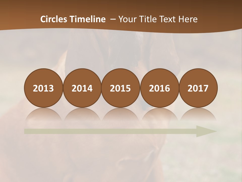 A Brown Dog Sitting On Top Of A Grass Covered Field PowerPoint Template
