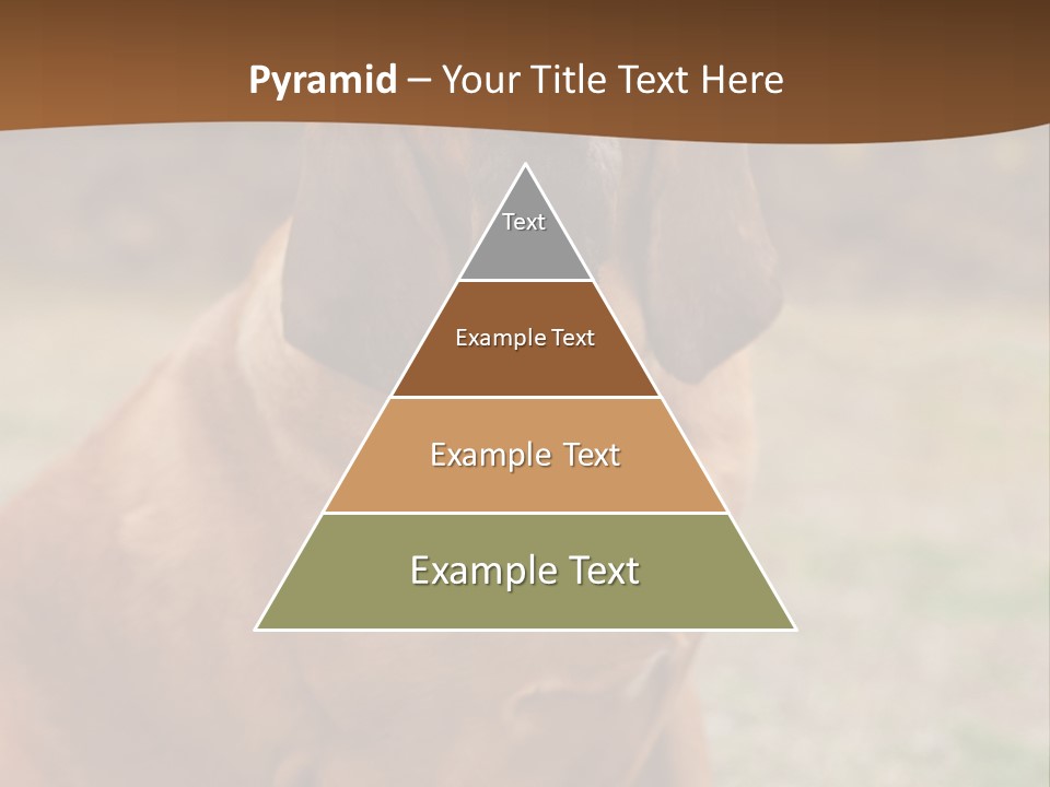 A Brown Dog Sitting On Top Of A Grass Covered Field PowerPoint Template