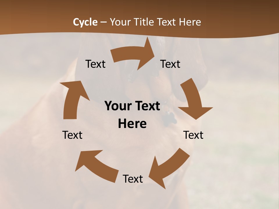 A Brown Dog Sitting On Top Of A Grass Covered Field PowerPoint Template