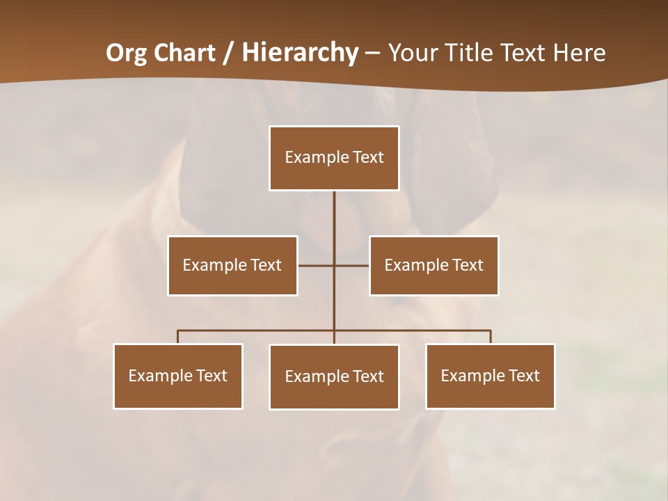 A Brown Dog Sitting On Top Of A Grass Covered Field PowerPoint Template